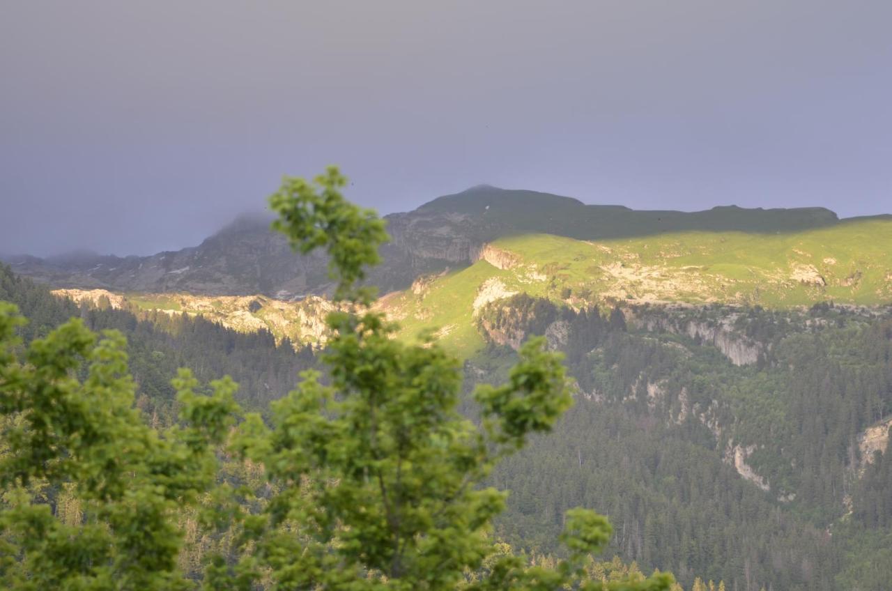 Appartamento Domaine Du Grand Tetras Samoëns Esterno foto