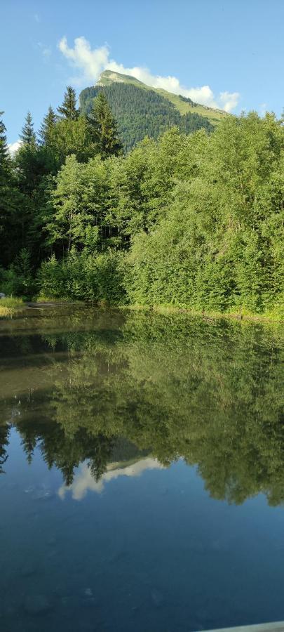 Appartamento Domaine Du Grand Tetras Samoëns Esterno foto